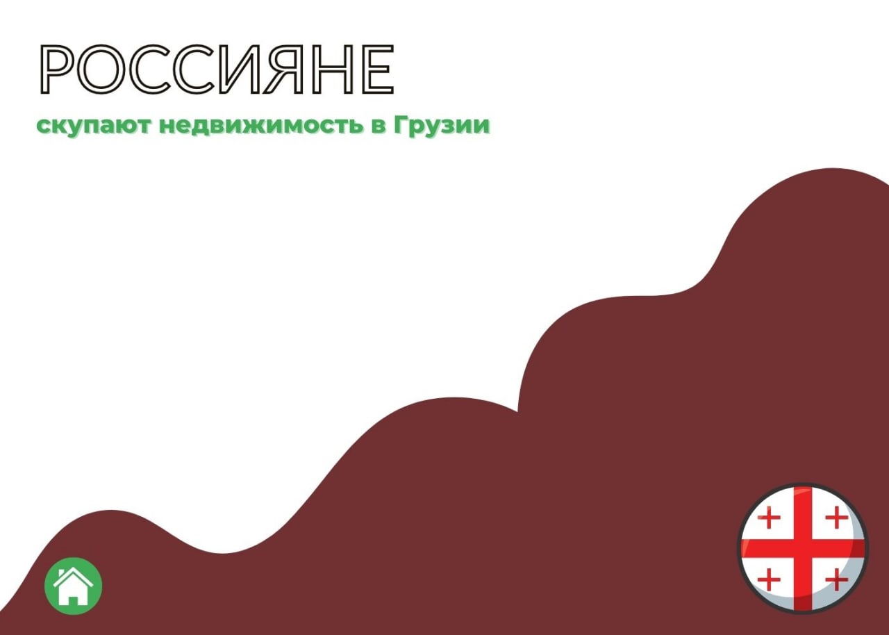 Оппозиция Грузии продвигает новые ограничения для граждан РФ. — обложка статьи