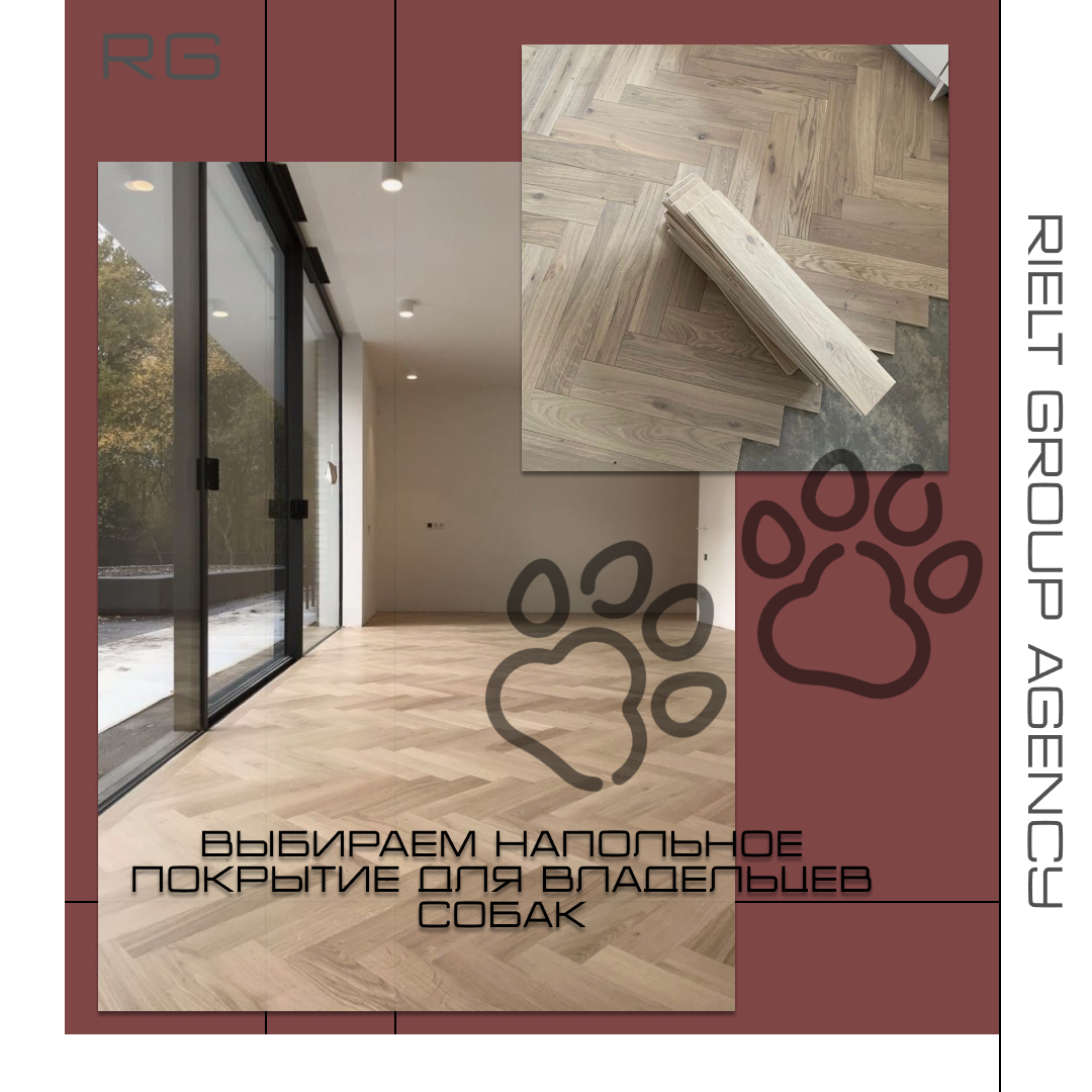 Выбираем напольное покрытие для владельцев собак — обложка статьи