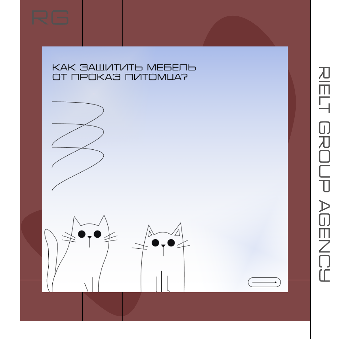 Как защитить мебель от проказ питомца? — обложка статьи