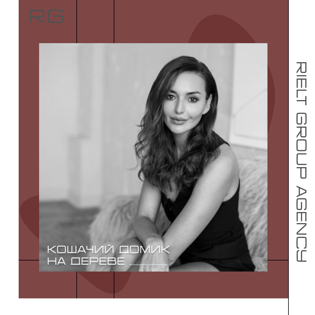 Кошачий домик на дереве — обложка статьи