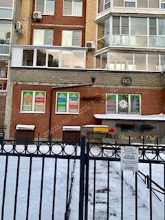 Фото 1, Объект недвижимости #52240517, 230 м², Санкт-Петербург, Приморский район, 1-я Утиная ул., д.28