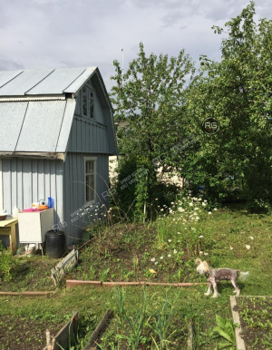 Миниатюра 11, 2-к дача, 28 м², Ленинградская область, Ломоносовский район, СНТ Можайское тер.