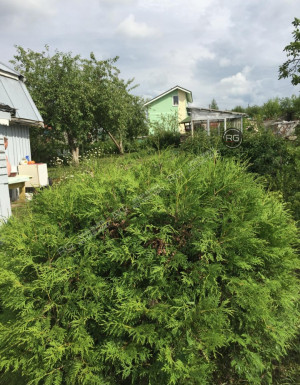 Миниатюра 14, 2-к дача, 28 м², Ленинградская область, Ломоносовский район, СНТ Можайское тер.