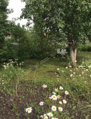 Миниатюра 18, 2-к дача, 28 м², Ленинградская область, Ломоносовский район, СНТ Можайское тер.