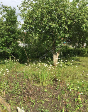 Миниатюра 19, 2-к дача, 28 м², Ленинградская область, Ломоносовский район, СНТ Можайское тер.