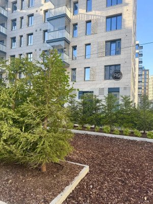 Миниатюра 2, 3-к квартира в Легенде, 78,6 м², Санкт-Петербург, Приморский район, Чёрной речки наб., д.35, строение 1