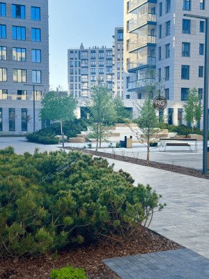 Миниатюра 4, 3-к квартира в Легенде, 78,6 м², Санкт-Петербург, Приморский район, Чёрной речки наб., д.35, строение 1