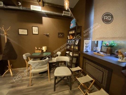 Аренда, центр, у метро!, 50 м², Санкт-Петербург, Центральный район, Маяковского ул., д.3