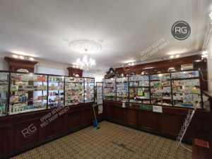 Миниатюра 4, Аренда помещения в центре города, 131 м², Санкт-Петербург, Центральный район, Гороховая ул., д.24/24