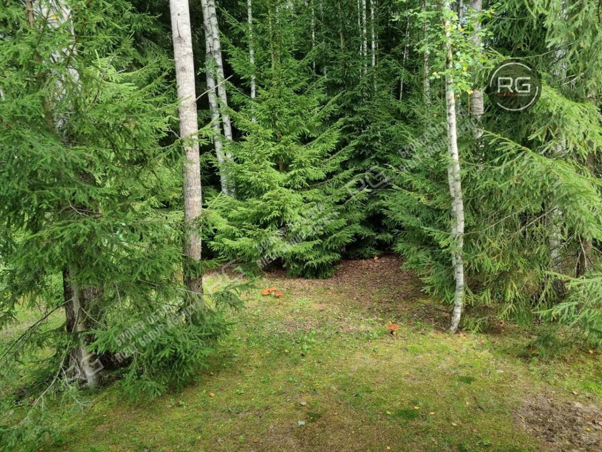 Миниатюра 15, Дом готовый к проживанию!, 185,7 м², Ленинградская область, Всеволожский район, Урочище Рогосары массив, Новые дубки днп