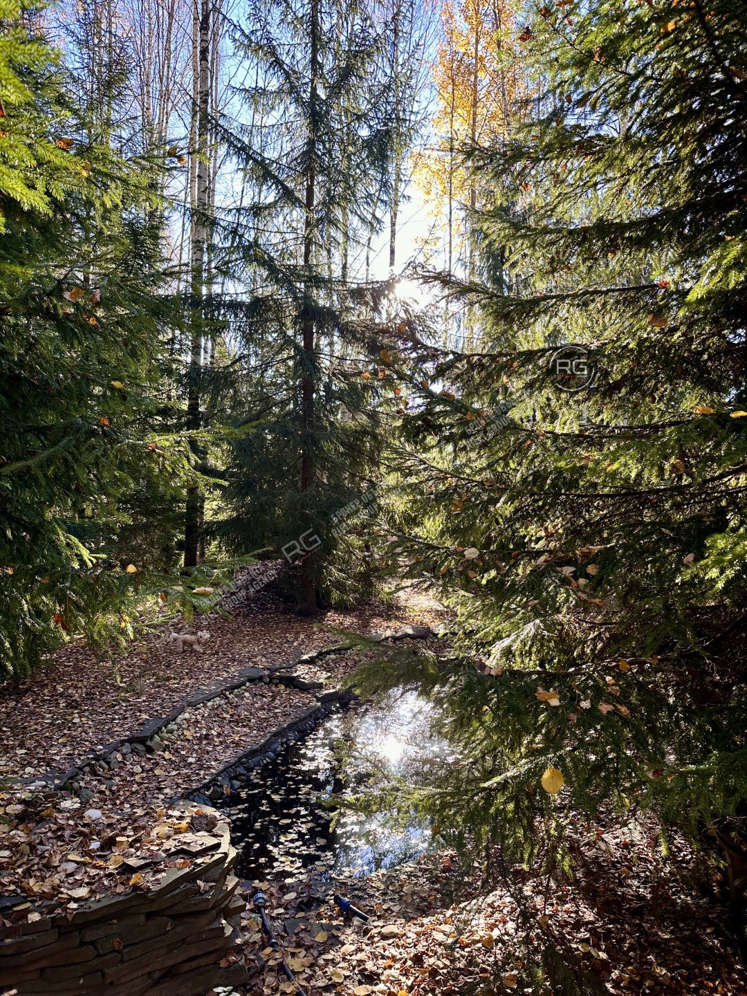 Миниатюра 17, Дом готовый к проживанию!, 185,7 м², Ленинградская область, Всеволожский район, Урочище Рогосары массив, Новые дубки днп