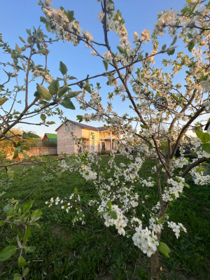 Миниатюра 16, Дом с террасой в Гатчине, 168 м², Ленинградская область, Гатчинский район, Гатчина г., Нади Федоровой ул., д.23а