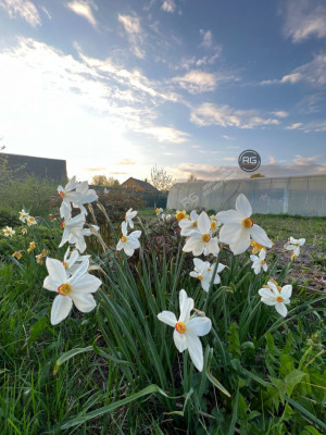 Миниатюра 17, Дом с террасой в Гатчине, 168 м², Ленинградская область, Гатчинский район, Гатчина г., Нади Федоровой ул., д.23а
