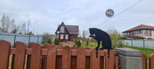 Миниатюра 35, Дом у озера, 70 м², Ленинградская область, Приозерский район, Сосновый Бор г., д.3