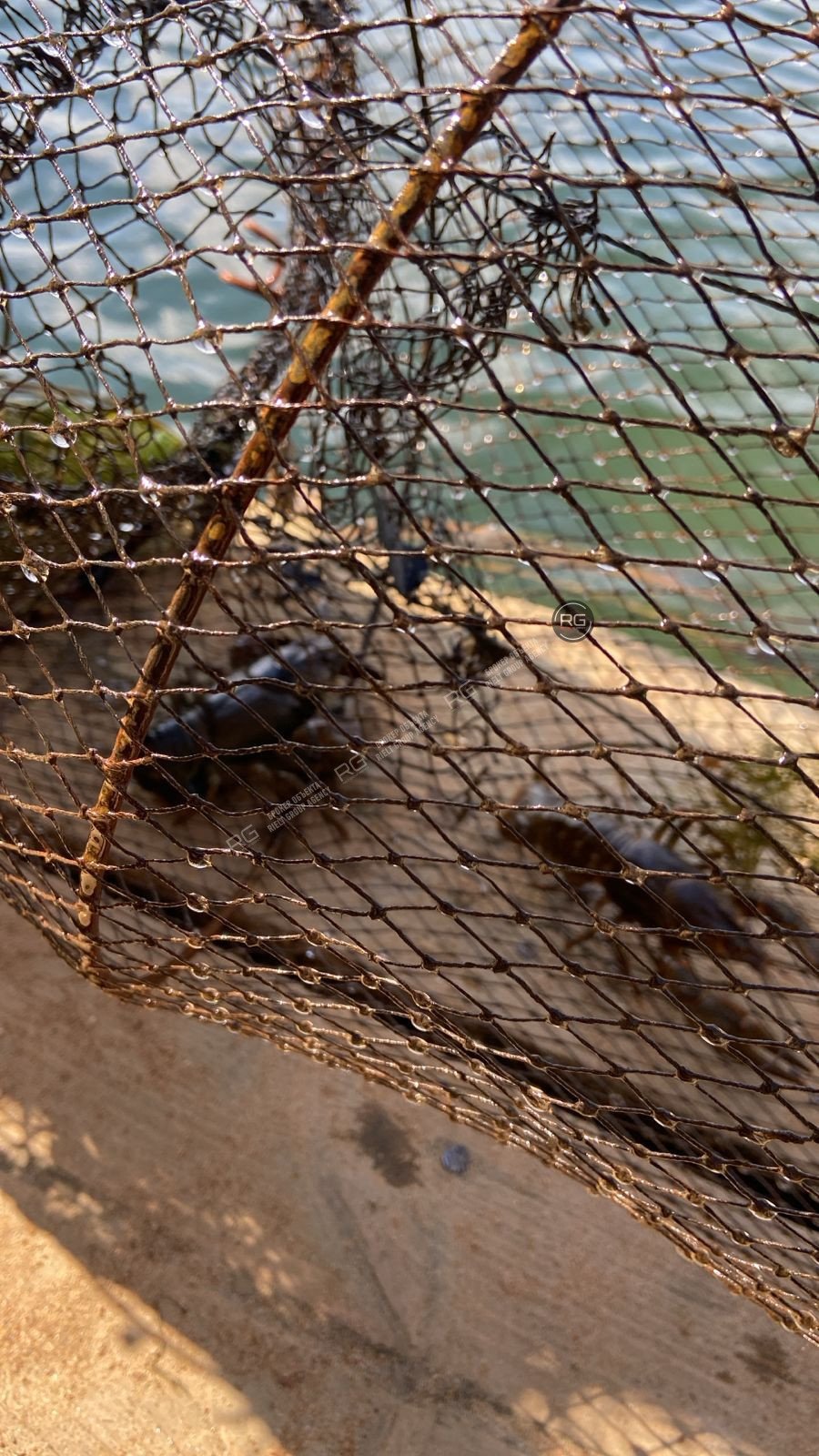 Миниатюра 48, Дом у озера, 70 м², Ленинградская область, Приозерский район, Сосновый Бор г., д.3