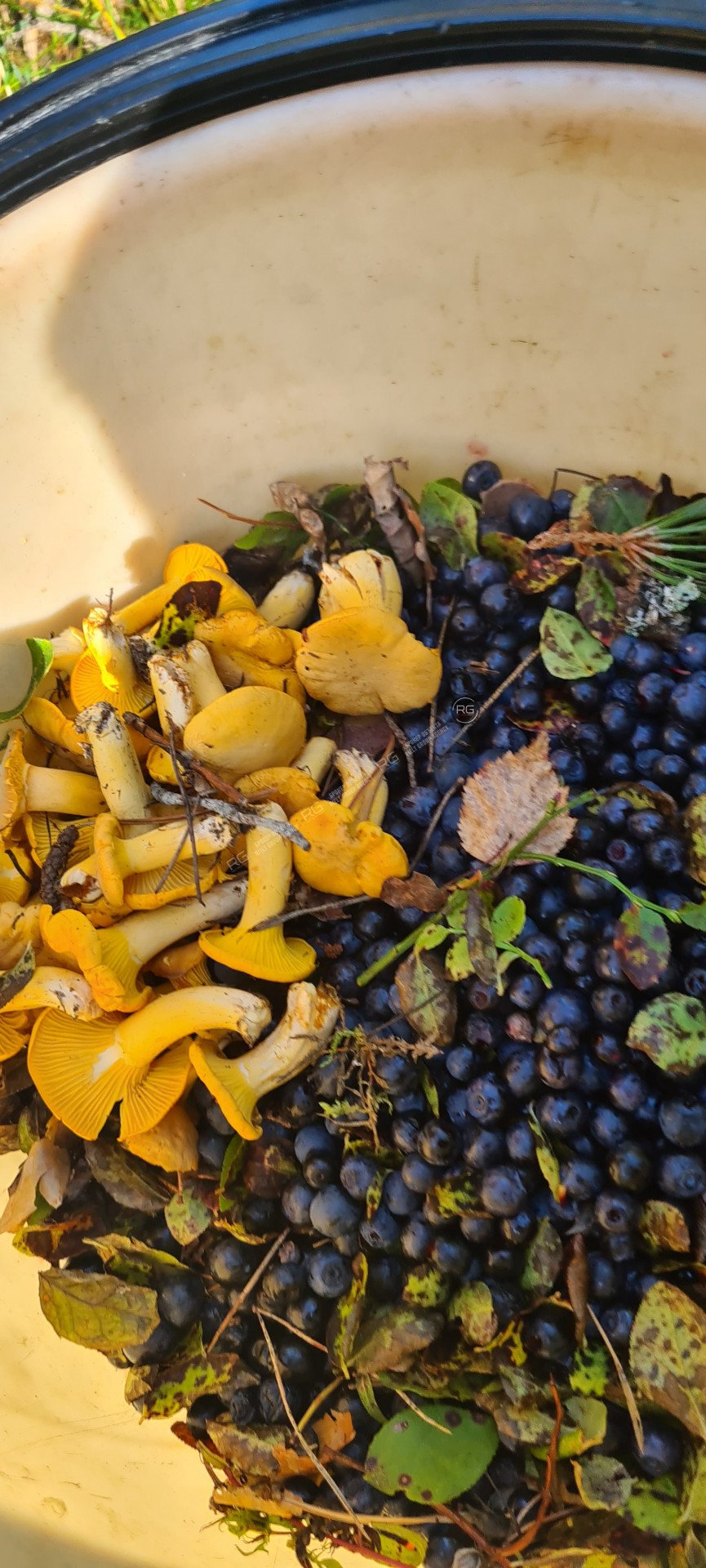 Миниатюра 50, Дом у озера, 70 м², Ленинградская область, Приозерский район, Сосновый Бор г., д.3