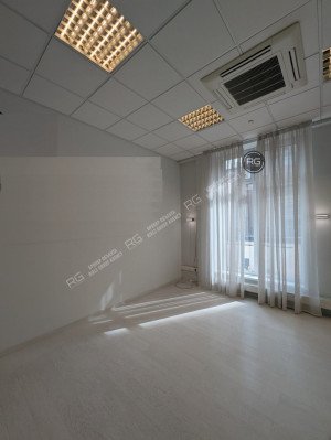 Миниатюра 6, Объект недвижимости #105347262, 313,2 м², Санкт-Петербург, Центральный район, Парадная ул., д.3, к.2