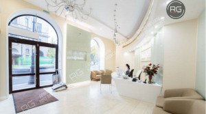 Миниатюра 4, Объект недвижимости #105541184, 360 м², Санкт-Петербург, Петроградский район, Каменноостровский пр-кт., д.25/1