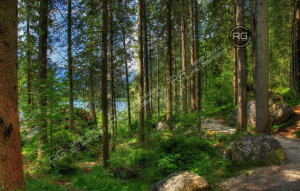 Миниатюра 14, Кирпичный дом 685 м2, 685 м², Ленинградская область, Всеволожский район, Канисты д., Лесной б-р.