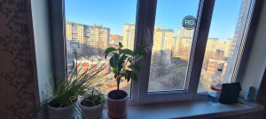Миниатюра 30, Комната в 3-комнатном блоке, 68 м², Санкт-Петербург, Приморский район, Маршала Новикова ул., д.17