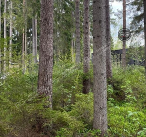 Миниатюра 10, Коттедж в Рощино, 165м2, 165 м², Ленинградская область, Выборгский район, Рощино г.п., Достоевского пер., д.8