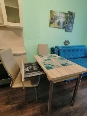 Миниатюра 15, Квартира, 24,6 м², Ленинградская область, Мурино г., Ручьевский пр-кт., д.9