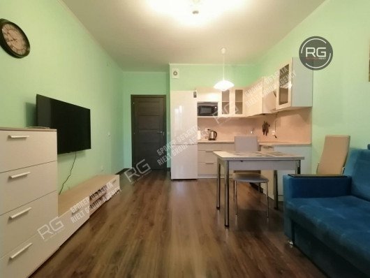 Квартира, 24,6 м², Ленинградская область, Мурино г., Ручьевский пр-кт., д.9