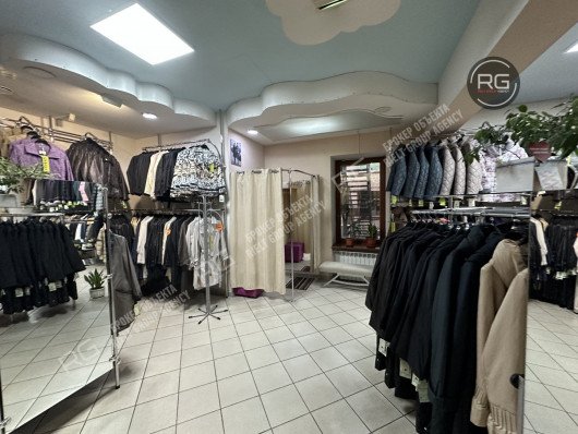 Помещение рядом с метро, 345 м², Санкт-Петербург, Центральный район, Кузнечный пер., д.18