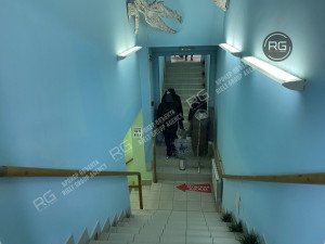 Миниатюра 7, Помещение рядом с метро, 345 м², Санкт-Петербург, Центральный район, Кузнечный пер., д.18