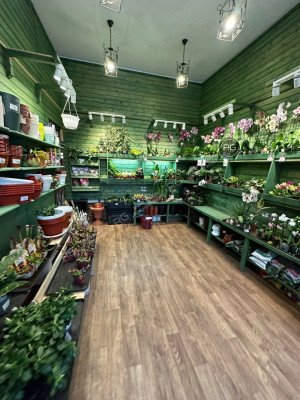 Миниатюра 7, Помещение у метро, 61,2 м², Санкт-Петербург, Выборгский район, Удельный пр-кт., д.27