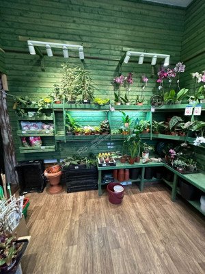 Миниатюра 8, Помещение у метро, 61,2 м², Санкт-Петербург, Выборгский район, Удельный пр-кт., д.27