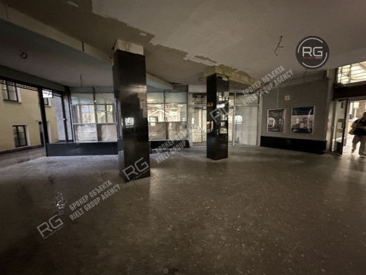 Помещение у входа в метро, 404 м², Санкт-Петербург, Центральный район, Владимирский пр-кт., д.23