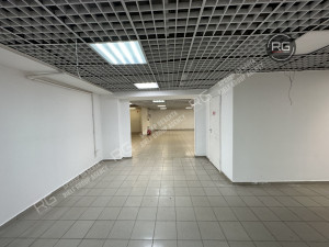 Миниатюра 5, Помещение у входа в метро, 555 м², Санкт-Петербург, Центральный район, Владимирский пр-кт., д.23