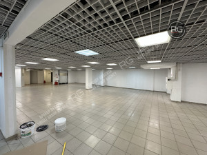 Миниатюра 8, Помещение у входа в метро, 555 м², Санкт-Петербург, Центральный район, Владимирский пр-кт., д.23