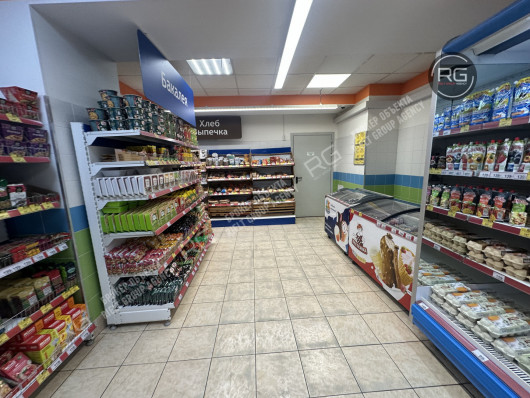 Помещение в нежилом доме в центре, 223,2 м², Санкт-Петербург, Центральный район, 3-я Советская ул., д.2/3