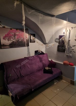 Миниатюра 3, Продажа подвала с арендатором, 115 м², Санкт-Петербург, Адмиралтейский район, Большая Подьяческая ул., д.22