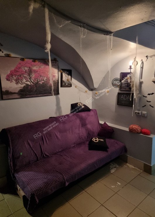 Продажа подвала с арендатором, 115 м², Санкт-Петербург, Адмиралтейский район, Большая Подьяческая ул., д.22