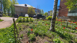 Миниатюра 18, Прямая продажа, 41,5 м², Ленинградская область, Всеволожский район, Бугры п., Шоссейная ул., д.26