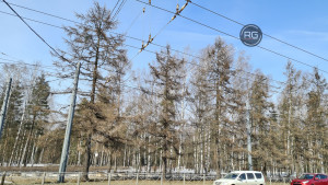 Миниатюра 23, Прямая продажа, 61,4 м², Санкт-Петербург, Выборгский район, Жака Дюкло ул., д.12