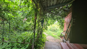 Миниатюра 18, Участок ижс с домом в Коломягах, 12 соток, Санкт-Петербург, Приморский район, Новоорловская ул.