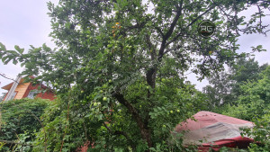 Миниатюра 5, Участок ижс с домом в Коломягах, 12 соток, Санкт-Петербург, Приморский район, Новоорловская ул.