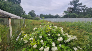 Миниатюра 10, Участок ижс с домом в Коломягах, 12 соток, Санкт-Петербург, Приморский район, Новоорловская ул.