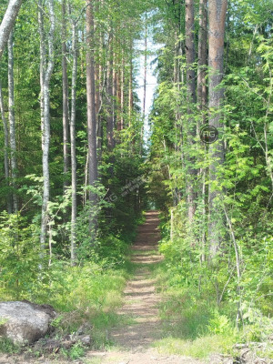 Миниатюра 4, Участок у озера, первая линия!, 9,3 соток, Ленинградская область, Выборгский район, Журналист снт