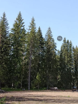 Миниатюра 5, Участок у озера, первая линия!, 9,3 соток, Ленинградская область, Выборгский район, Журналист снт