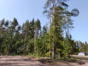 Миниатюра 6, Участок у озера, первая линия!, 9,3 соток, Ленинградская область, Выборгский район, Журналист снт