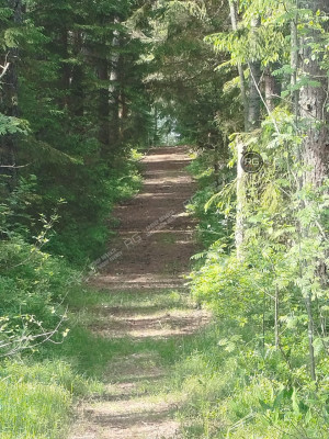 Миниатюра 9, Участок у озера, первая линия!, 9,3 соток, Ленинградская область, Выборгский район, Журналист снт