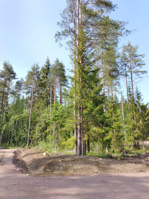 Миниатюра 10, Участок у озера, первая линия!, 9,3 соток, Ленинградская область, Выборгский район, Журналист снт