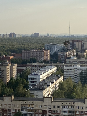 Миниатюра 15, Видовая в 15 мин пешком от метро!, 32,6 м², Санкт-Петербург, Выборгский район, Кустодиева ул., д.5, к.1, строение 1