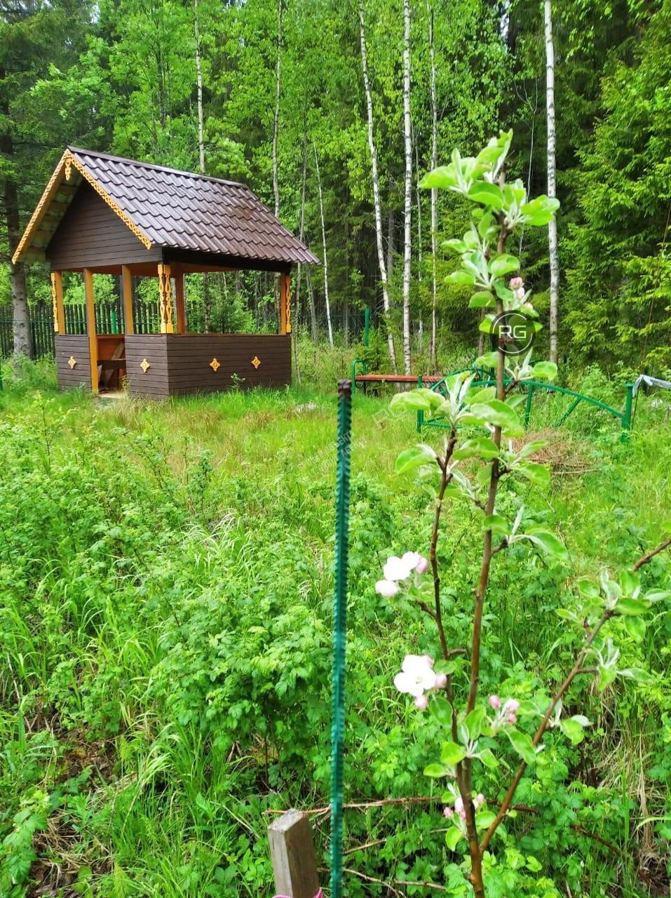 Миниатюра 5, Земельный уч. в р-не пос. Рощино, 8,7 соток, Ленинградская область, Выборгский район, Полянская тер.