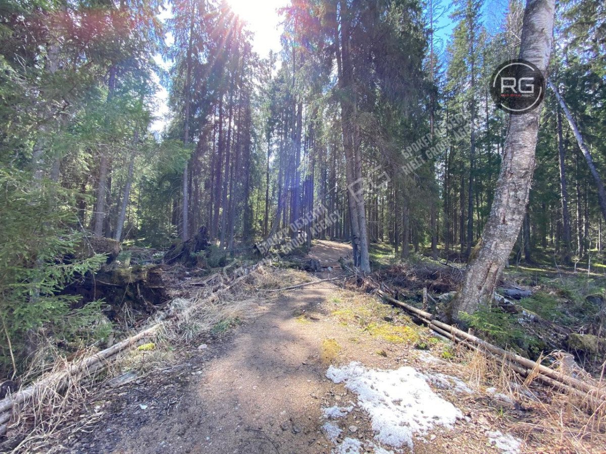 Миниатюра 9, Земельный уч. в р-не пос. Рощино, 8,7 соток, Ленинградская область, Выборгский район, Полянская тер.